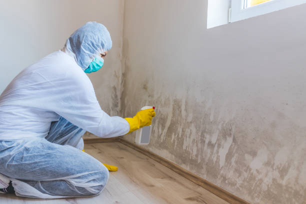Best Water Damage & Mold Remediation  in Heritage Pines, FL