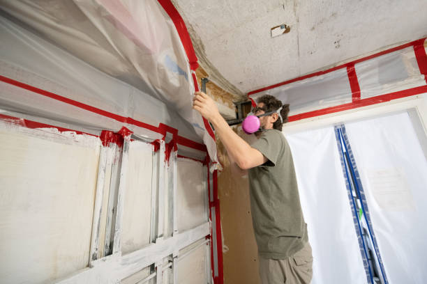 Best Mold Remediation for Healthcare Facilities  in Heritage Pines, FL
