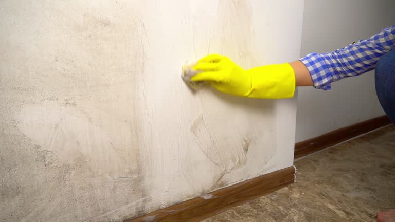Best Indoor Air Quality Assessment  in Heritage Pines, FL