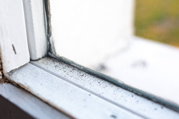 Best Post-Remediation Verification Testing  in Heritage Pines, FL