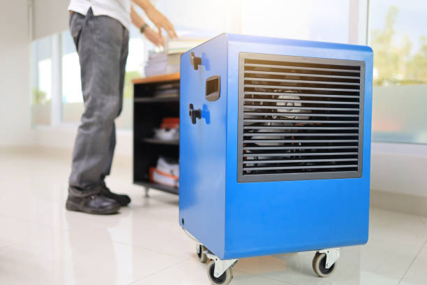  Heritage Pines, FL Mold Removal Pros