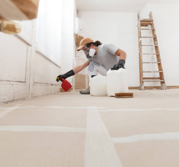 Best Mold Damage Restoration  in Heritage Pines, FL