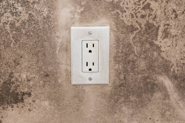 Best Real Estate Mold Inspection  in Heritage Pines, FL